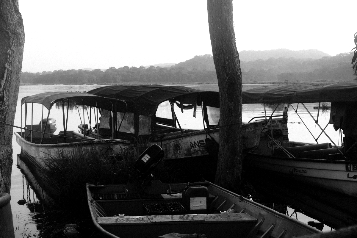 Private Tour Down The Panama Canal, and Seeing Sloths!, Panama (photo 1)