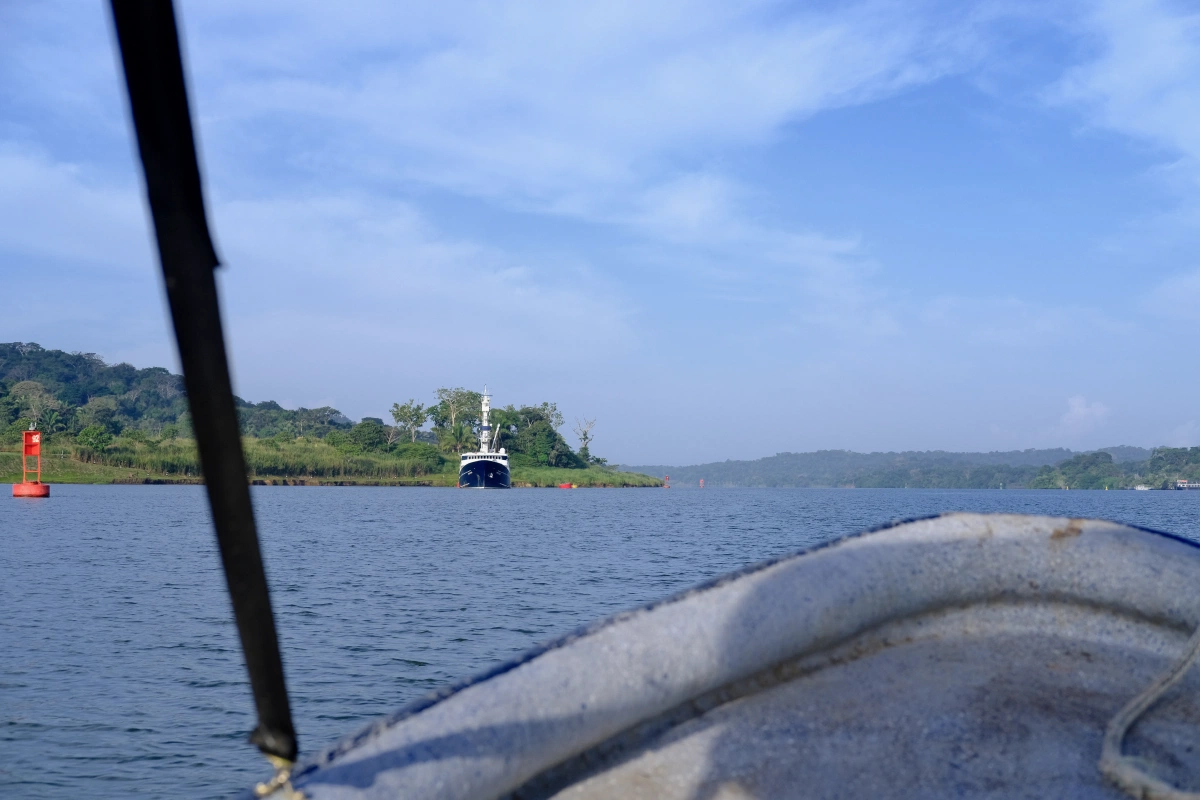 Private Tour Down The Panama Canal, and Seeing Sloths!, Panama (photo 7)
