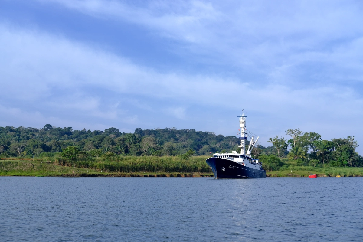 Private Tour Down The Panama Canal, and Seeing Sloths!, Panama (photo 8)