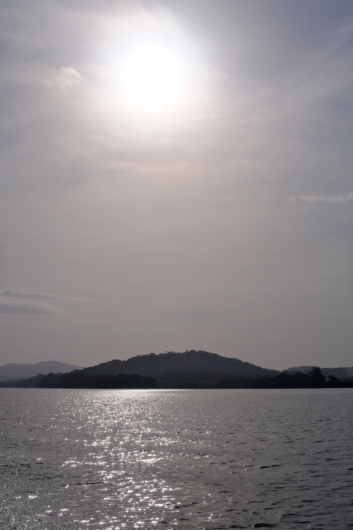 Private Tour Down The Panama Canal, and Seeing Sloths!, Panama (photo 13)