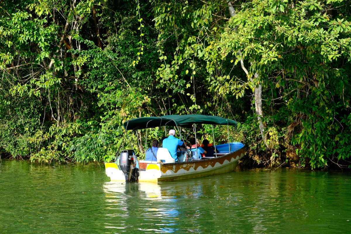 Private Tour Down The Panama Canal, and Seeing Sloths!, Panama (photo 14)