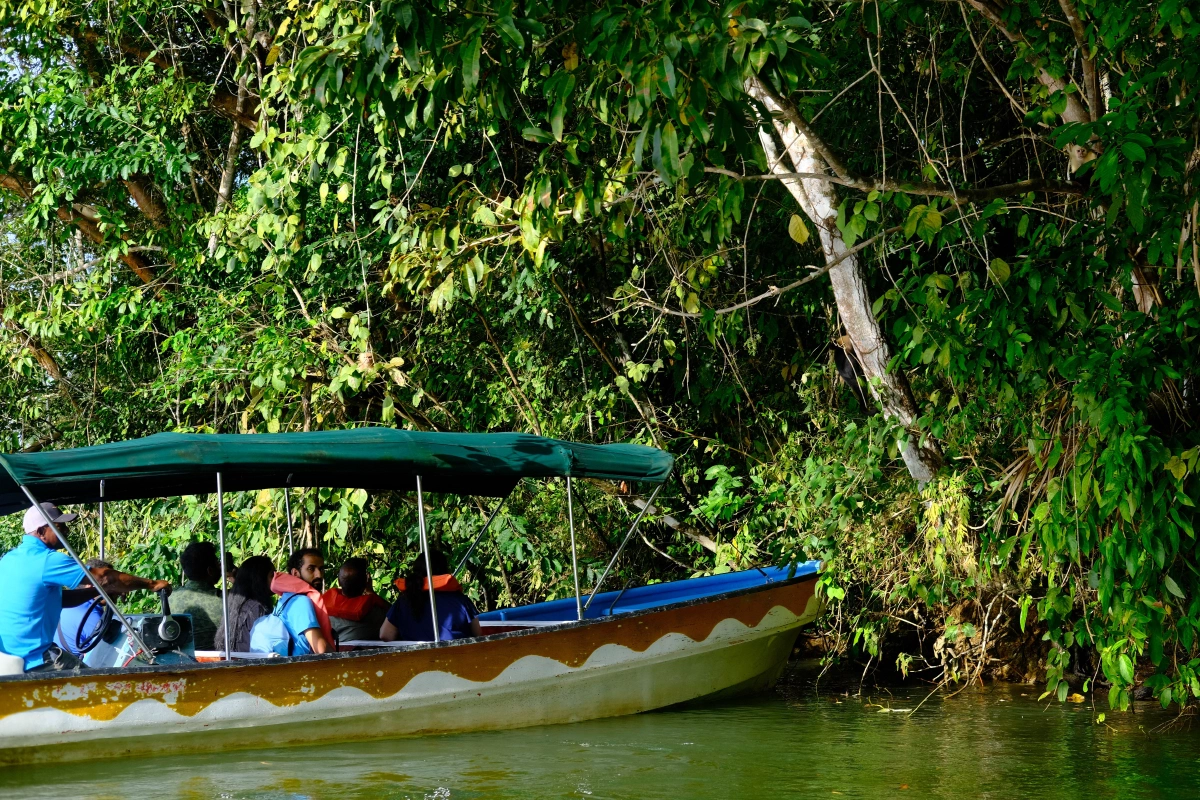 Private Tour Down The Panama Canal, and Seeing Sloths!, Panama (photo 15)