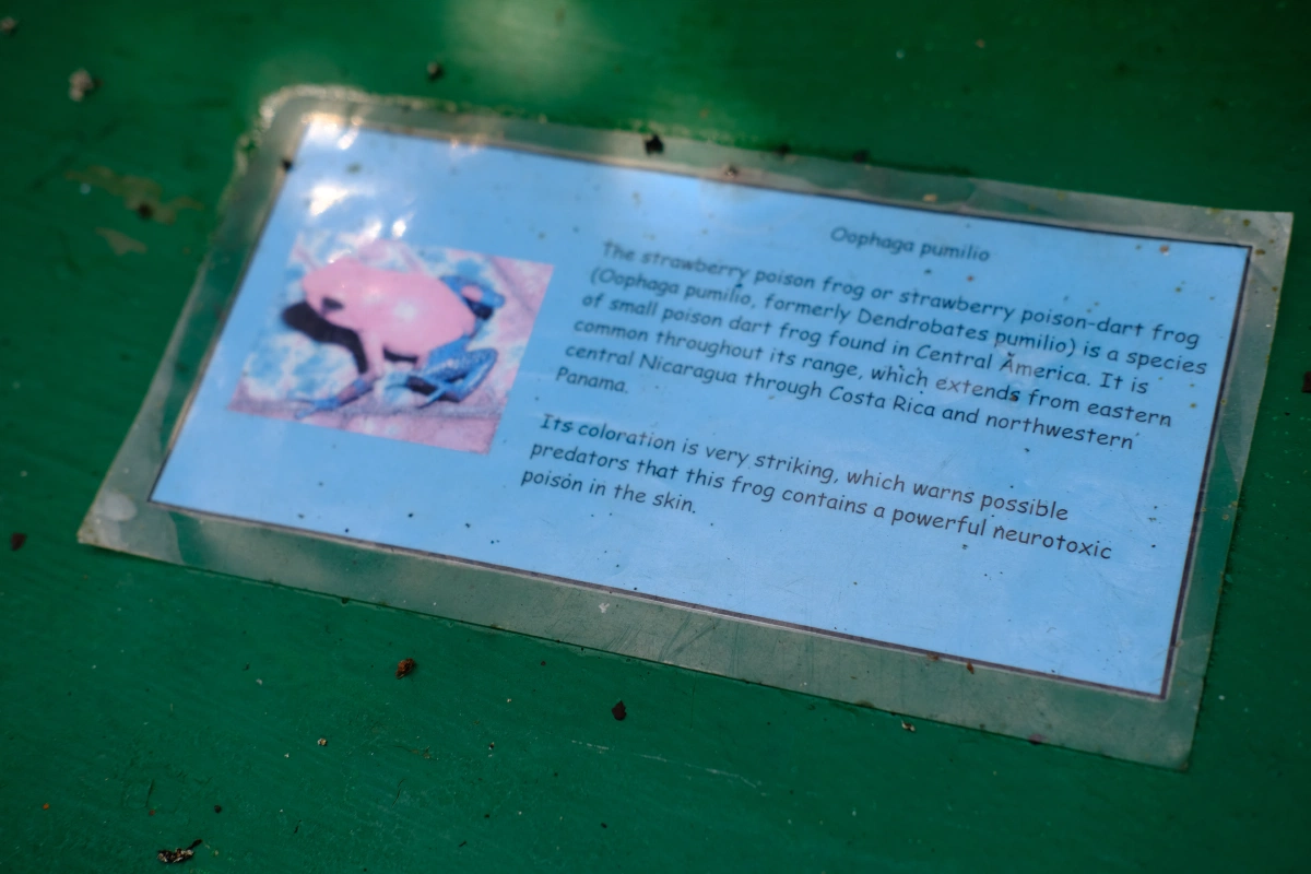 Private Tour Down The Panama Canal, and Seeing Sloths!, Panama (photo 35)