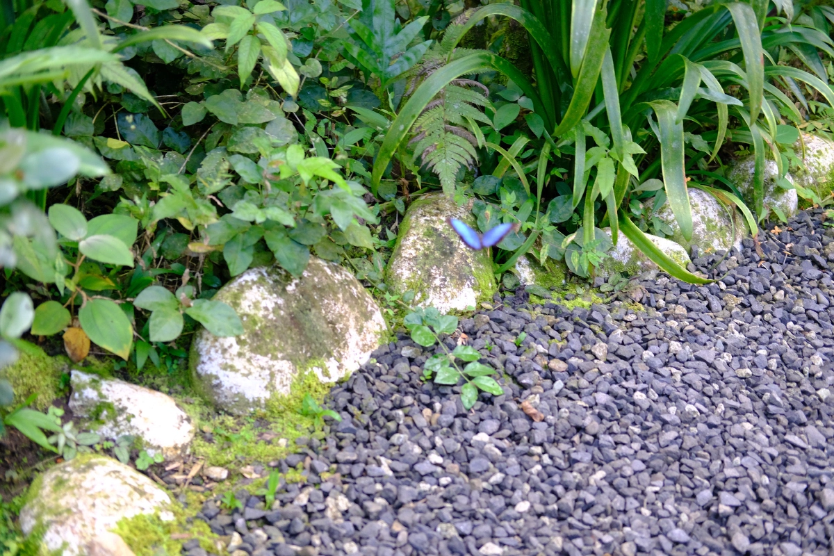 Private Tour Down The Panama Canal, and Seeing Sloths!, Panama (photo 39)