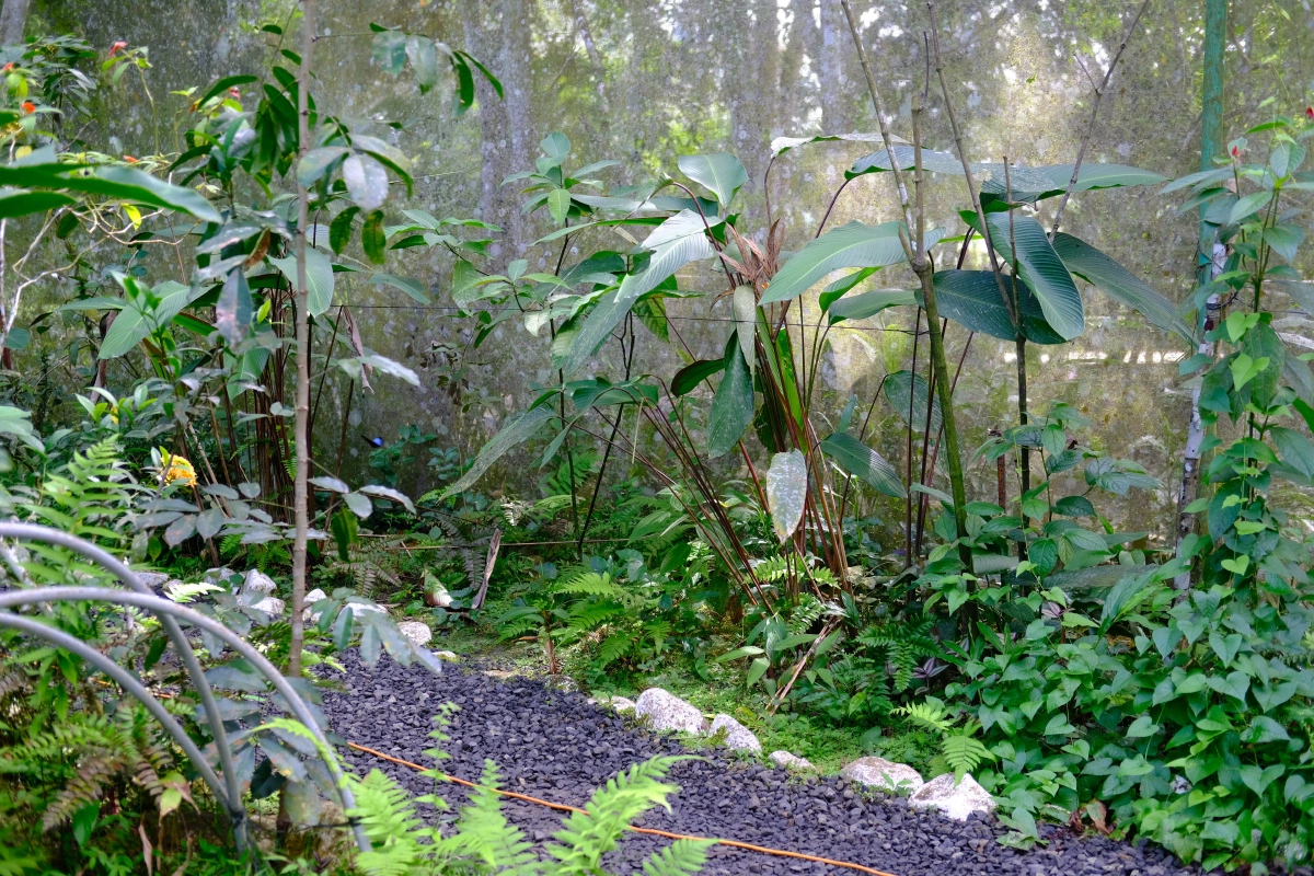 Private Tour Down The Panama Canal, and Seeing Sloths!, Panama (photo 42)