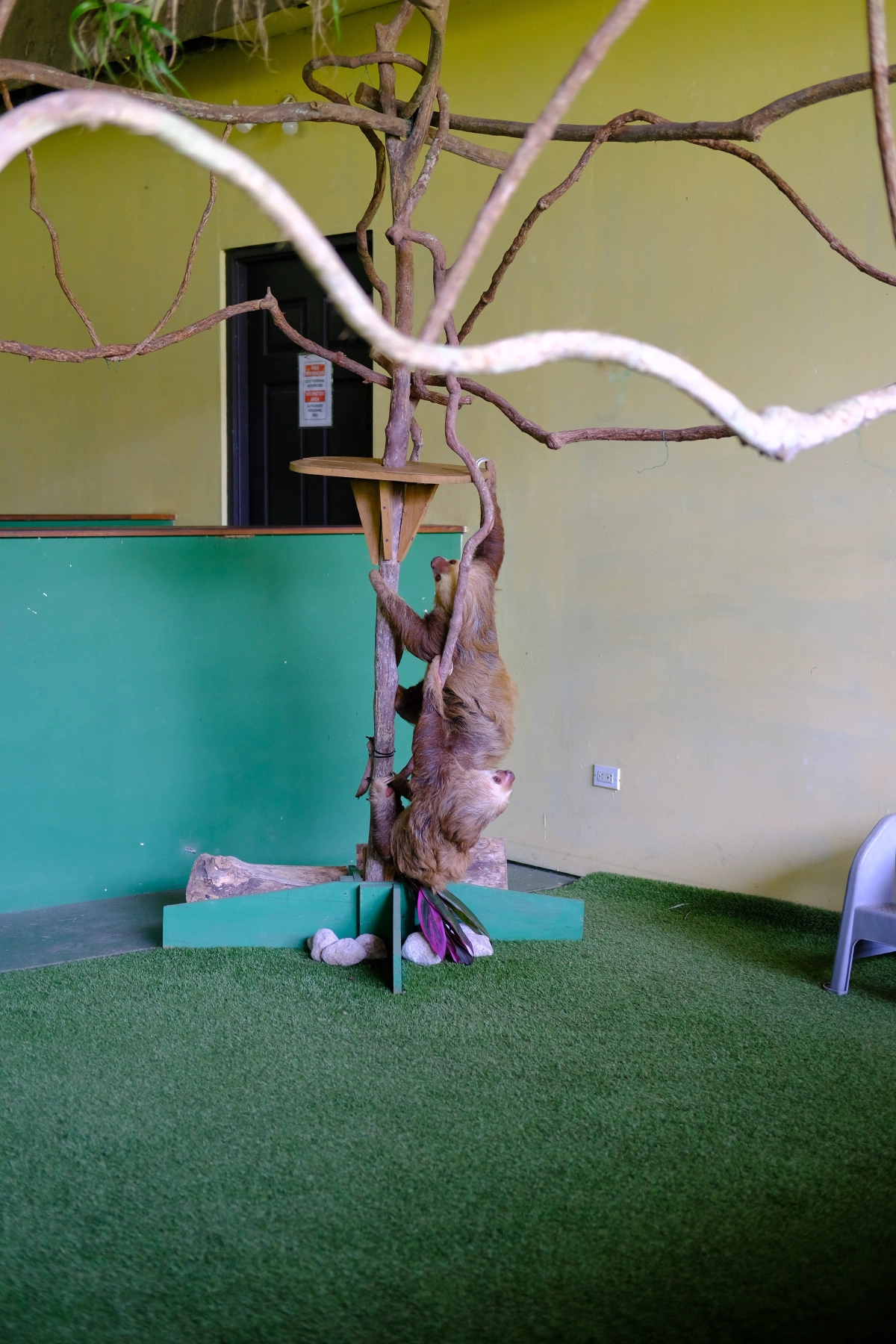 Private Tour Down The Panama Canal, and Seeing Sloths!, Panama (photo 46)