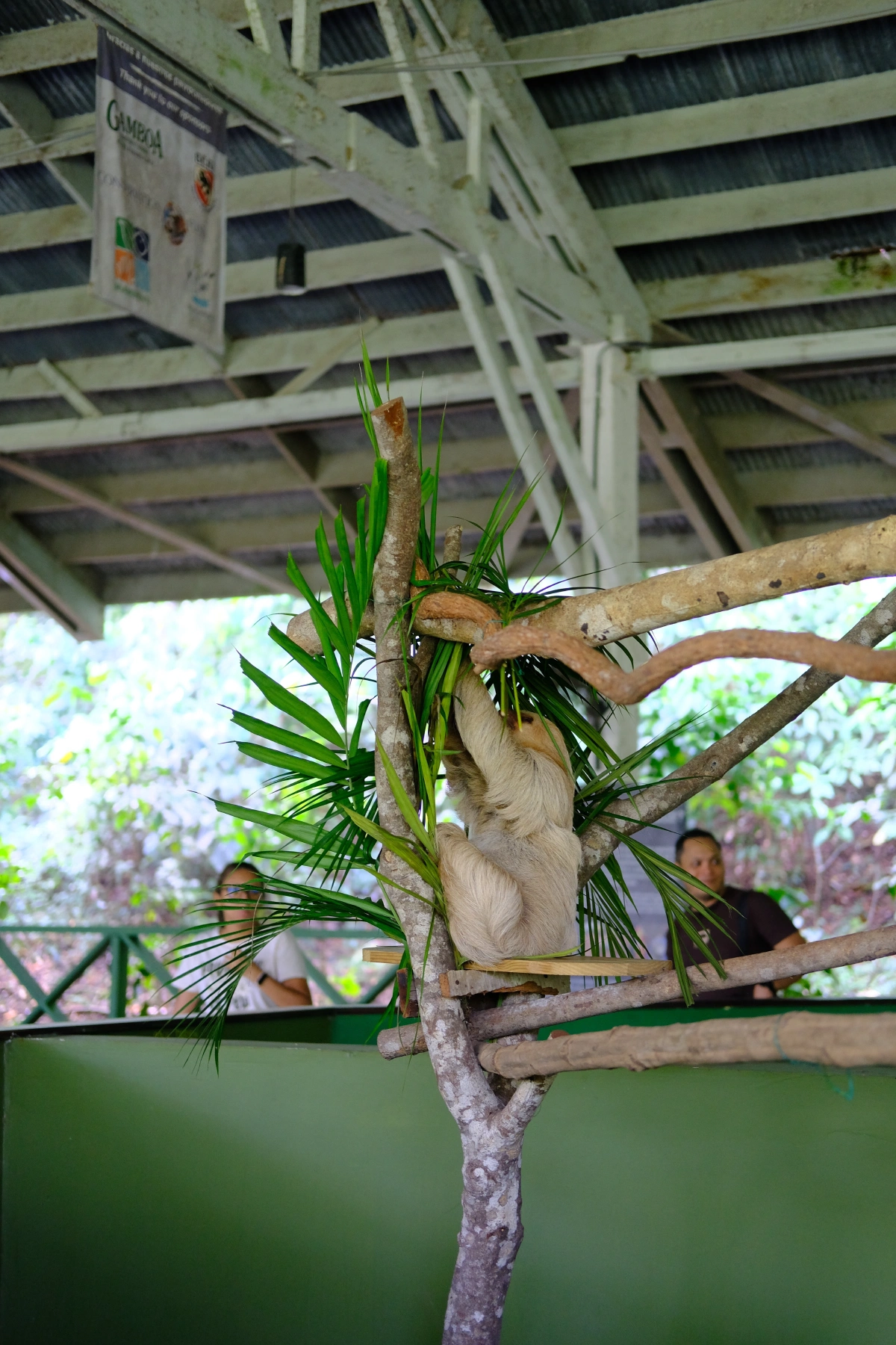 Private Tour Down The Panama Canal, and Seeing Sloths!, Panama (photo 57)